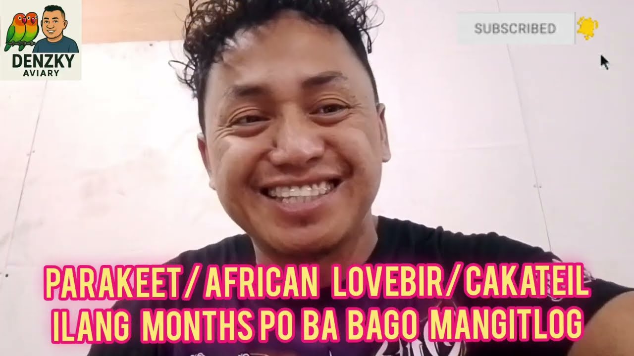 ILANG MONTHS  BAGO MANGITLOG ANG IBON NATIN  /PARAKEET /AFRICAN LOVEBIRDS /CAKATEIL/( VLOG Ep #93)