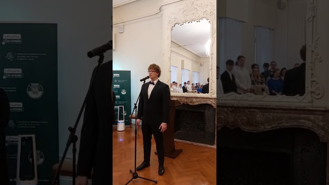 Ignas Dambrauskas - Gintarai - Andrius Kulikauskas 2025-07-06
