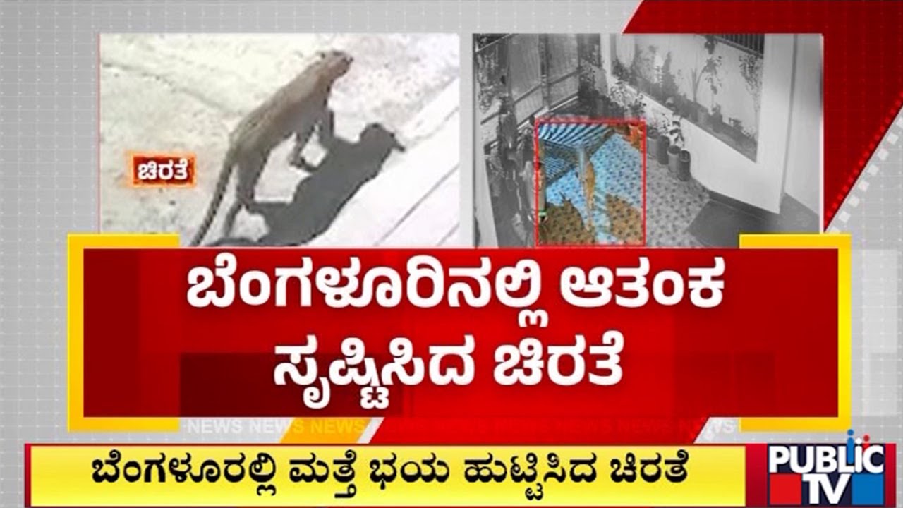 ಕಾಂಪೌಂಡ್‌ ಒಳಭಾಗದಲ್ಲಿ ಚಿರತೆ ಸಂಚಾರ | Bengaluru | Public TV