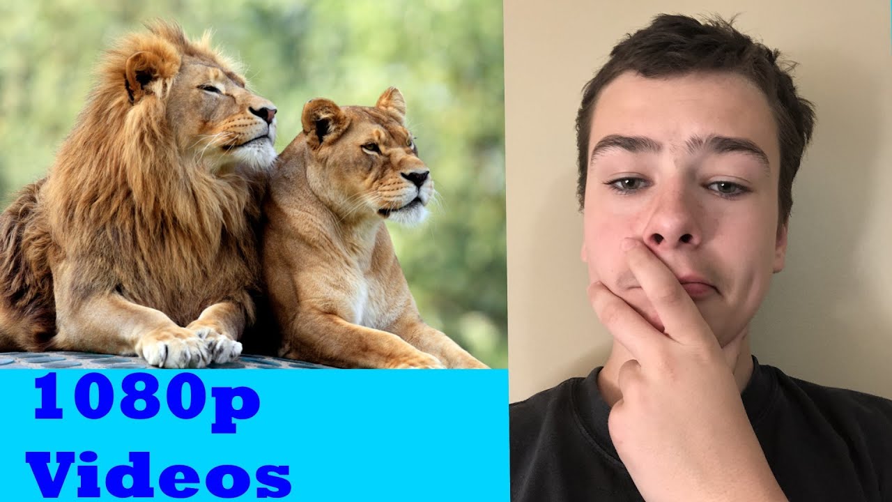 How To Make Videos Higher Quality!! Shotcut Tutorial!! 1080p 2k 4k!!