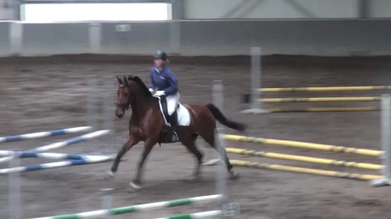 Manege Bleijenberg Springen 8-1-2012 - Deelnemer 13