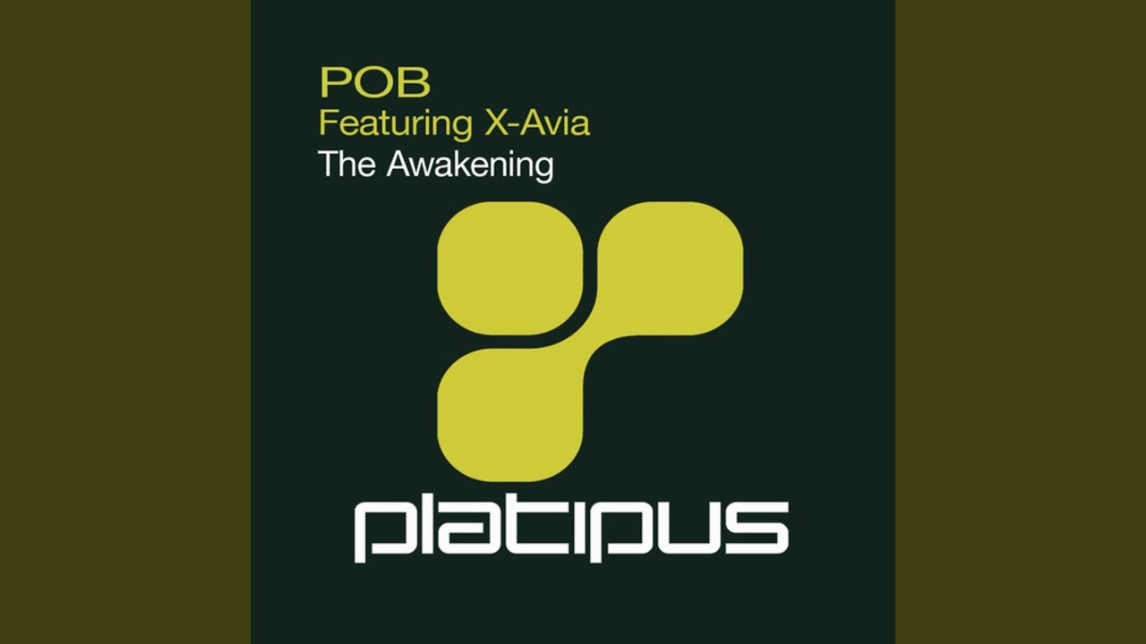 The Awakening (Quietman Remix) feat. X-Avia