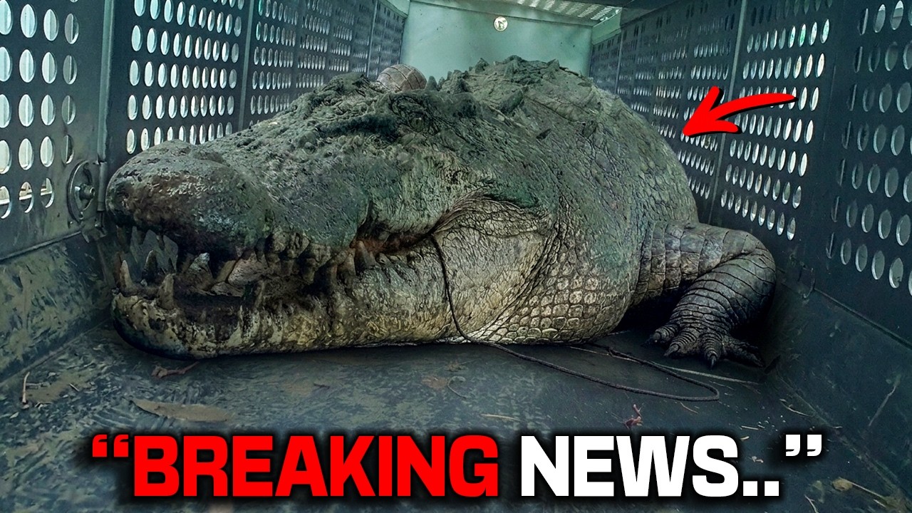 Florida Wildlife Team Captured A Swamp Beast That Looked More Prehistoric Than Any Crocodile Alive!
