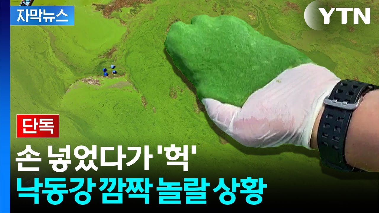 [자막뉴스] 