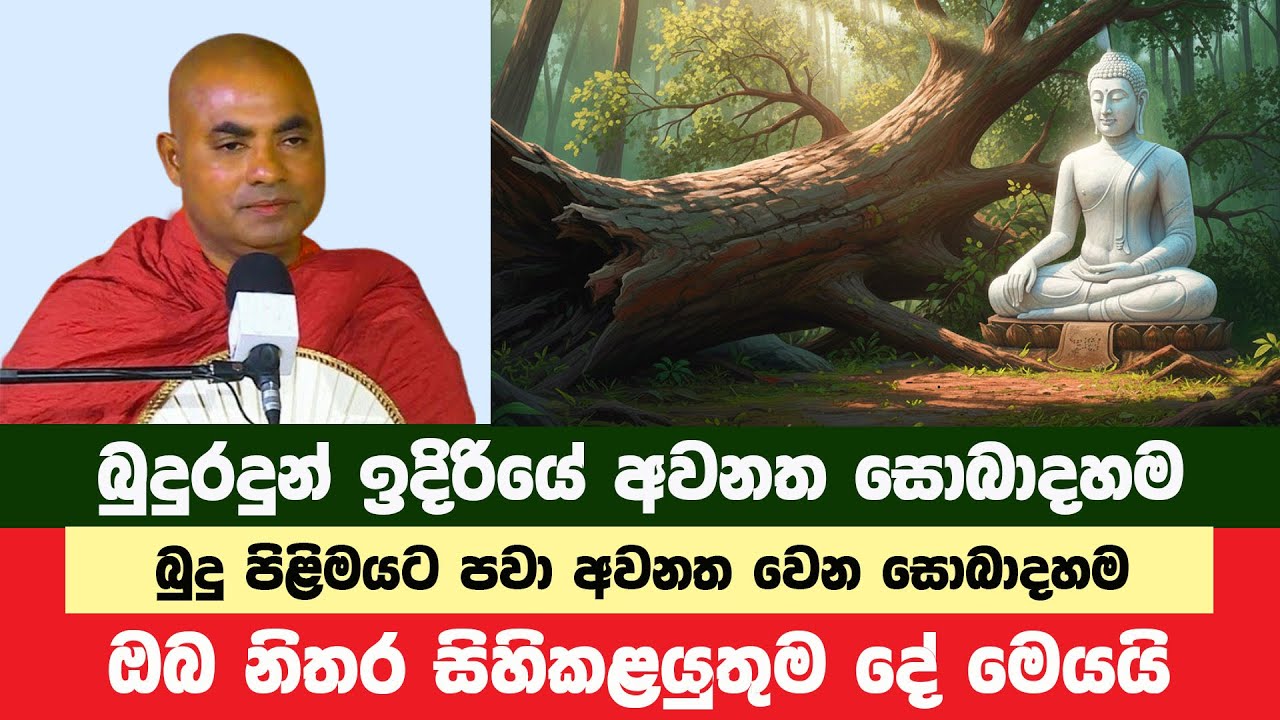 ස්වභාව ධර්මය දිනූ බුදුරදුන්ගේ බුද්ධ බලය | Koralayagama Saranathissa Thero | Bana Asamu 365