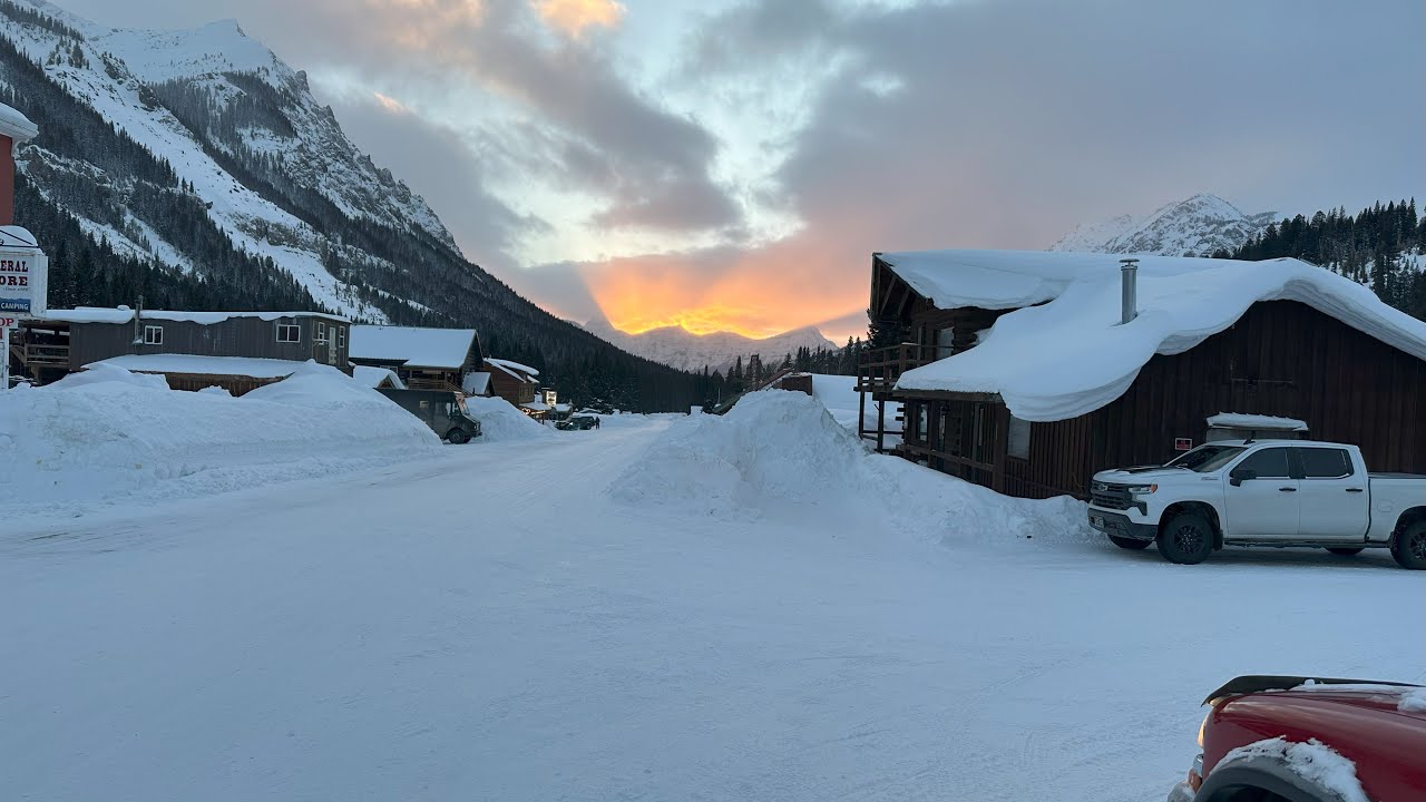 Wandering to Yellowstone NP in winter | Cooke City, Mammoth, Lamar Valley with coyotes, moose, bison