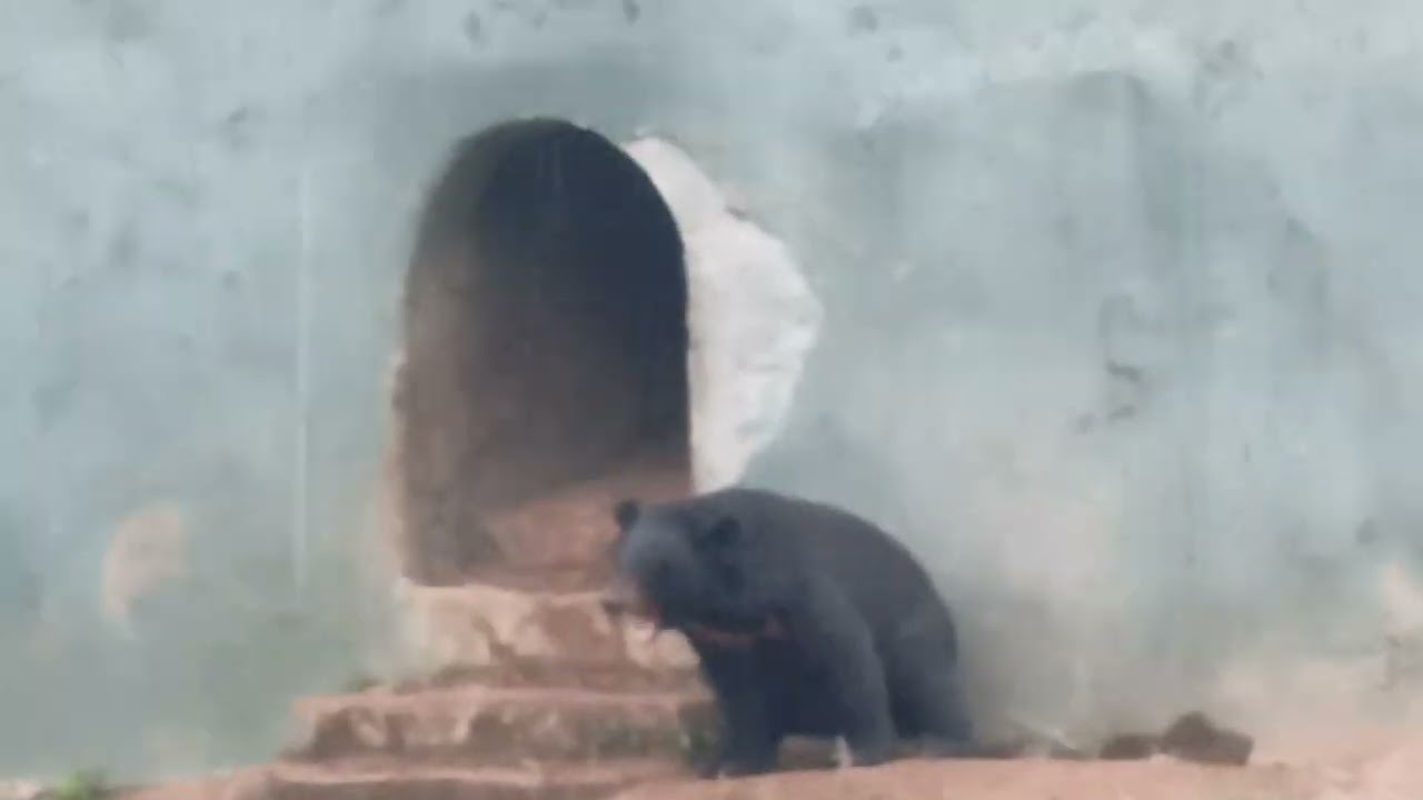 aaj crpf camp s crpf me ye kya ho gya kabhi nahi socha tha ki ye ho jayega very dangerous 😮#nature