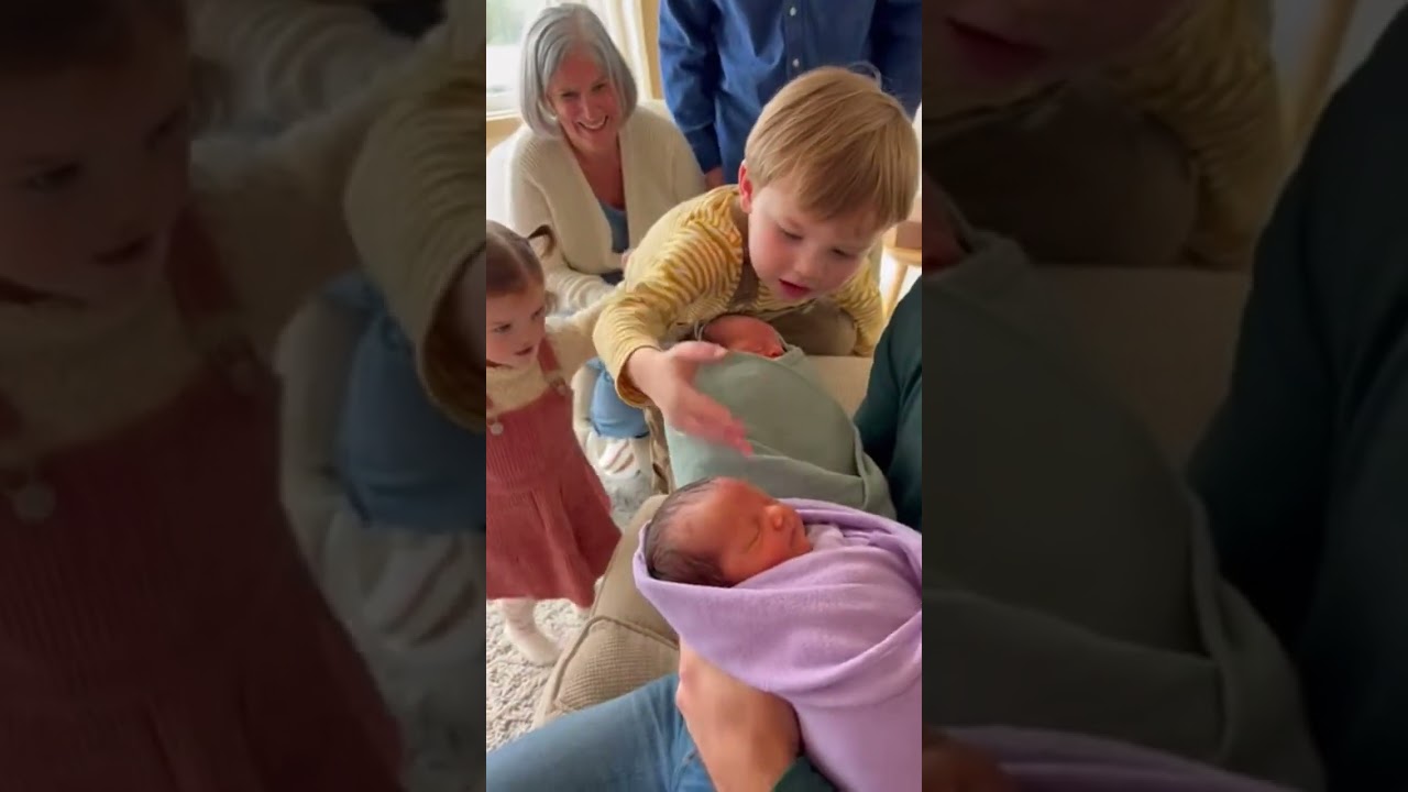 Twin Toddlers’ First Time Seeing Newborn Babies… Everyone Burst Out Laughing 😂 