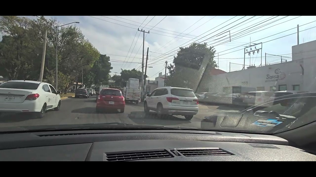 Un paseo por ahí#8