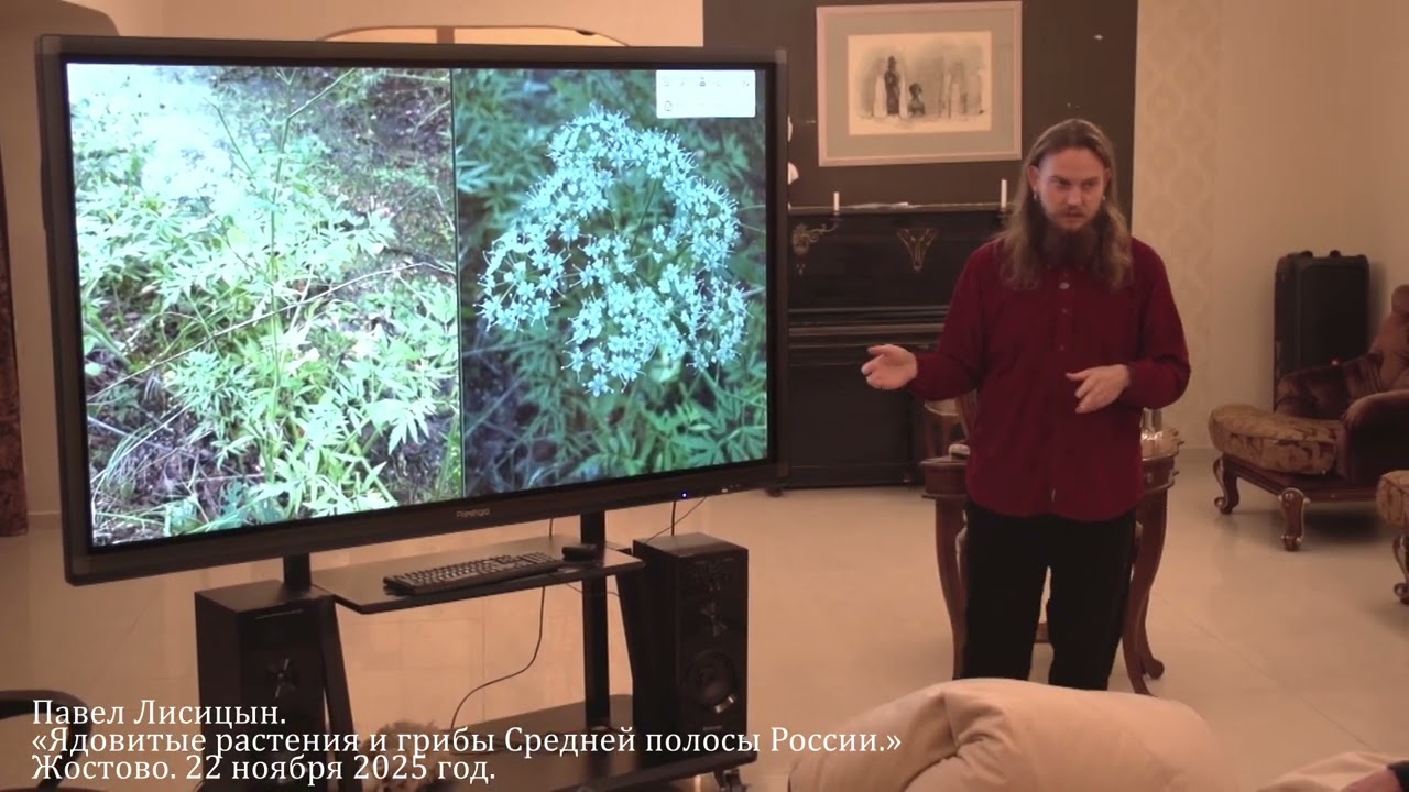 Павел Лисицын. Биолог - «Ядовитые растения и грибы Средней полосы России.» Жостово. 22/11/2025.