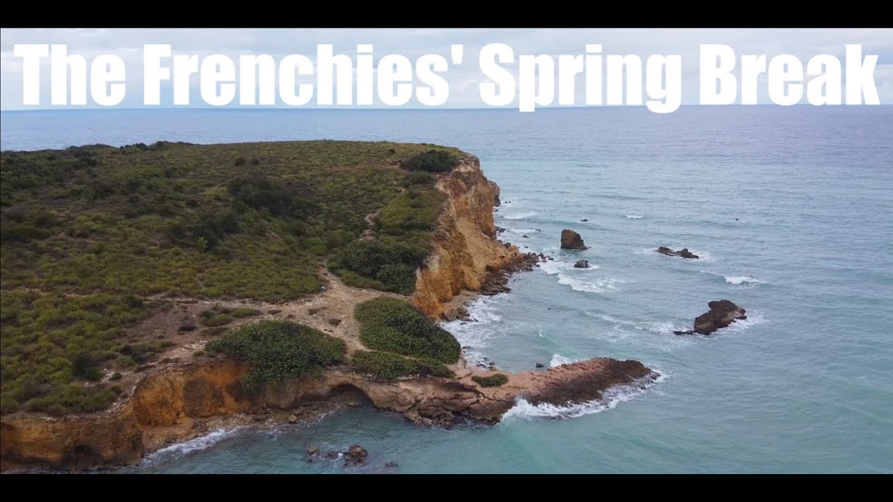 The Frenchies' Spring Break