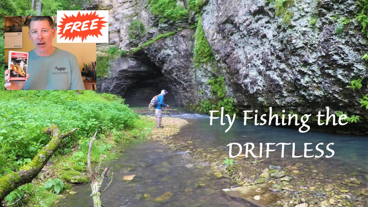 Ловля дикой коричневой форели нахлыстом на Driftless (с бесплатными картами).