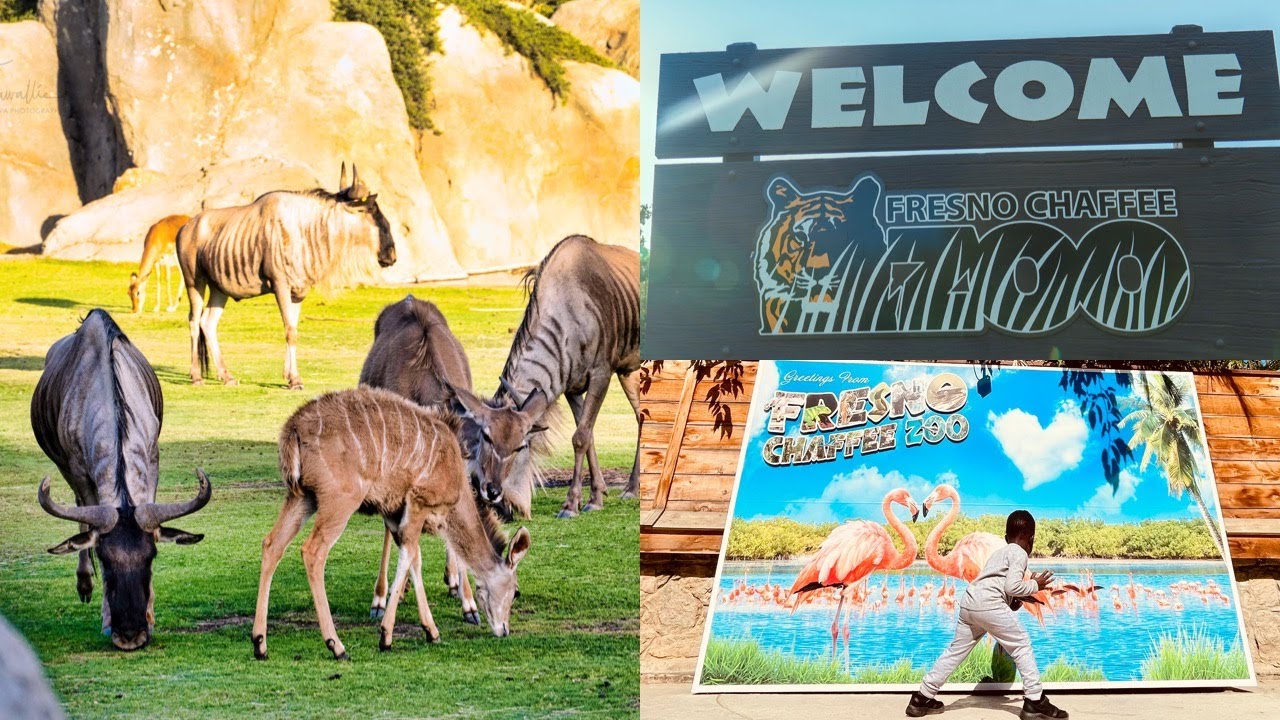 African adventure at Fresno zoo. Is it worth the trip?