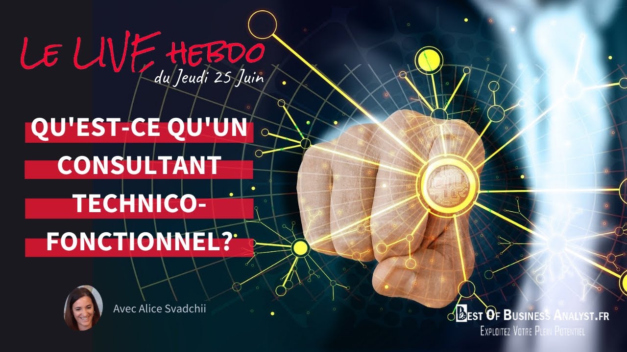 Qu'est-ce qu'un consultant technico-fonctionnel?