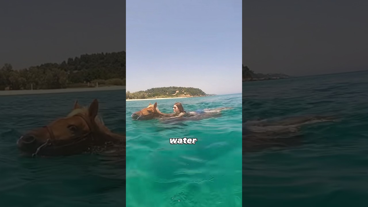 Can horses swim? #animals #horse #swimming