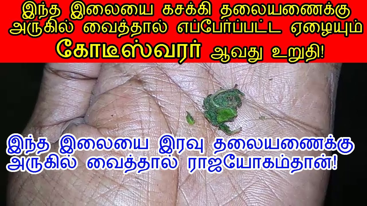 இந்த இலையை இரவு தலையணைக்கு அருகில் வைத்தால் நிச்சயம் ராஜயோகம்தான்!|tulsi leaf benefits tamil