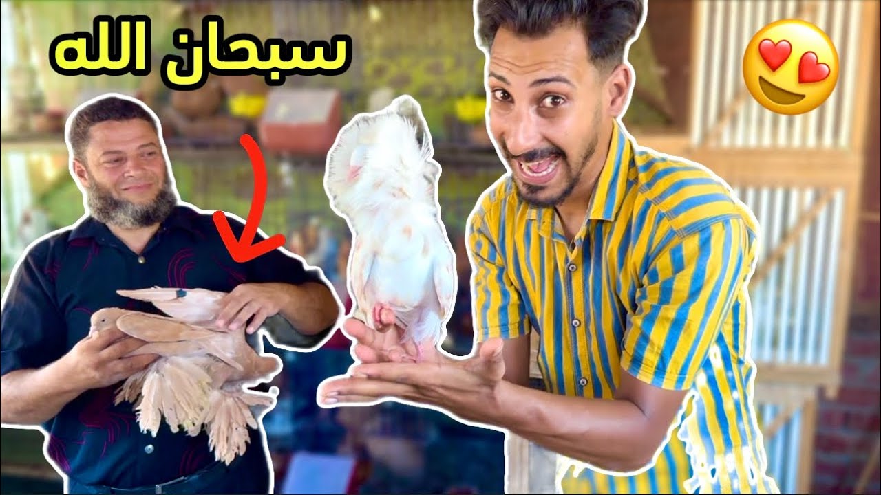رد فعل كلابي لما اشتريت حمام زينه 😍