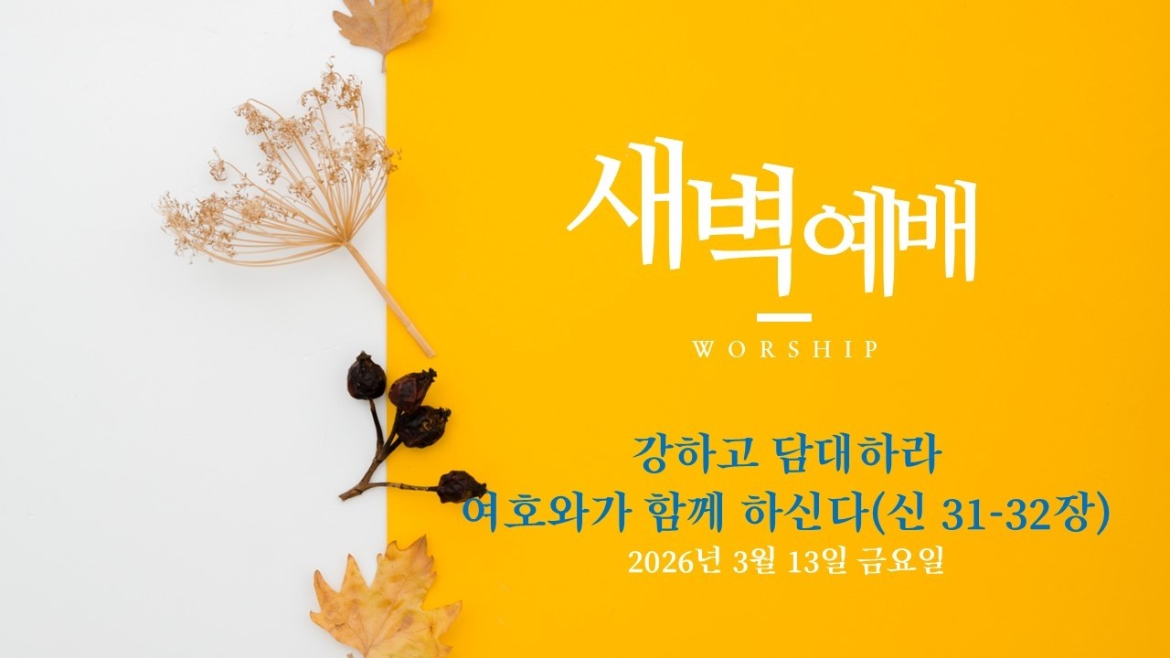 20260313 새벽 