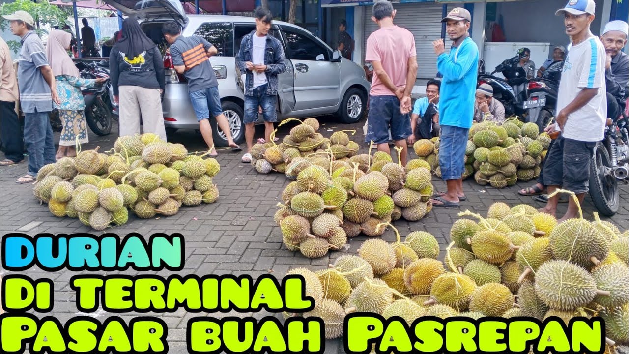 PASAR DURIAN TERBESAR di JAWA TIMUR! Harganya Bikin Kageet!