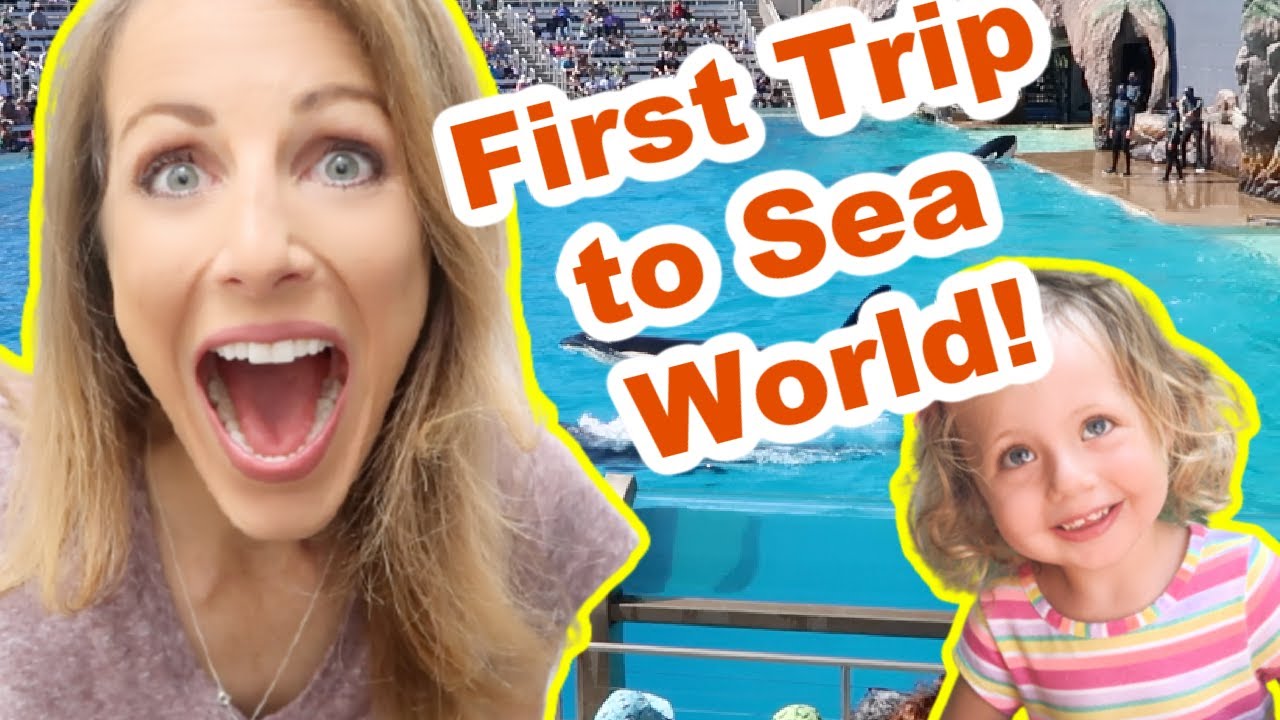 First Trip To Sea World!
