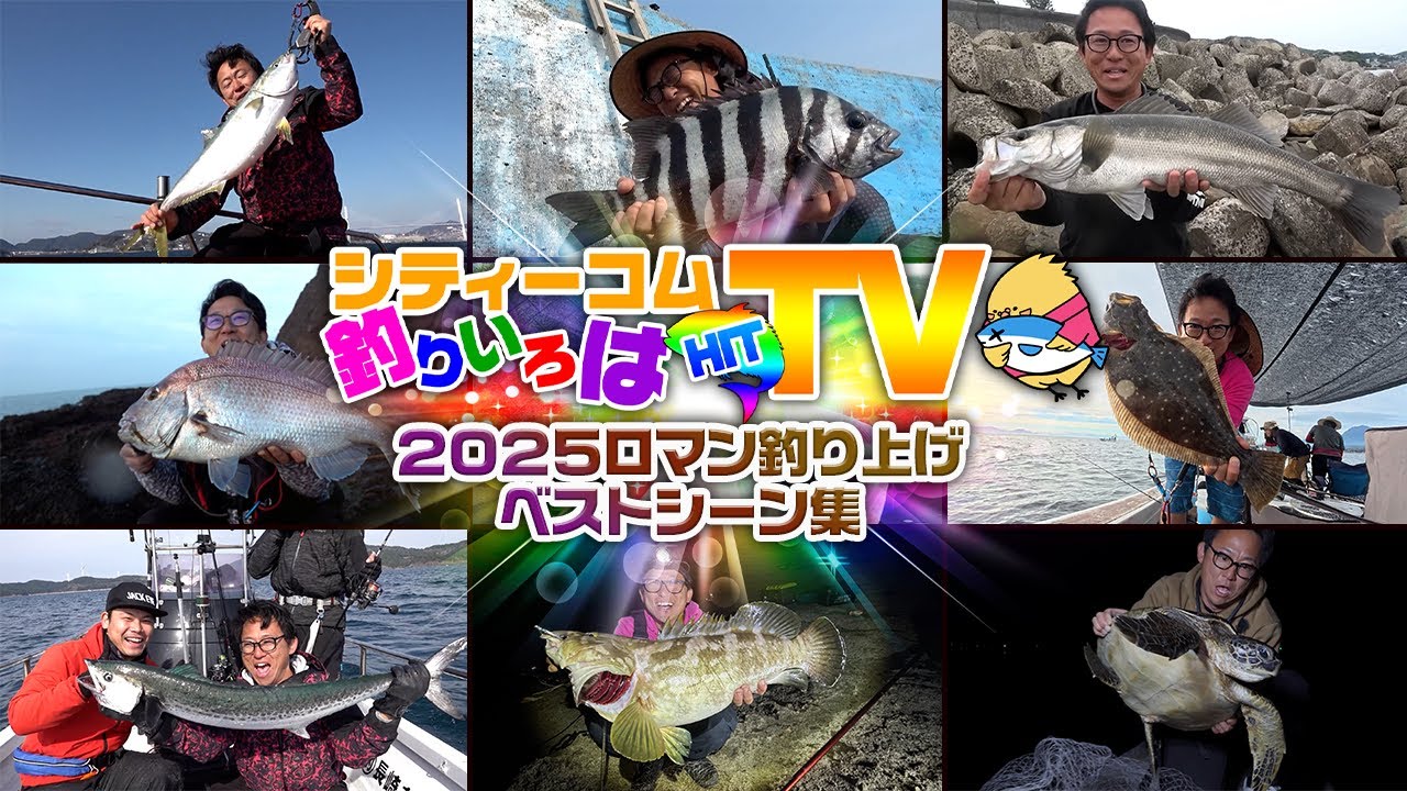 2025大物‼️高級魚総集編‼️青物から底物まで沢山釣れました