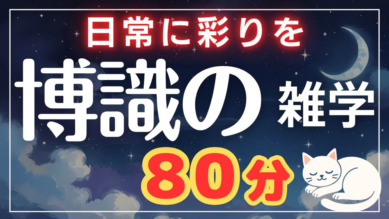 【睡眠用】知るだけで世界の見え方が変わる雑学80分【熟睡導入】