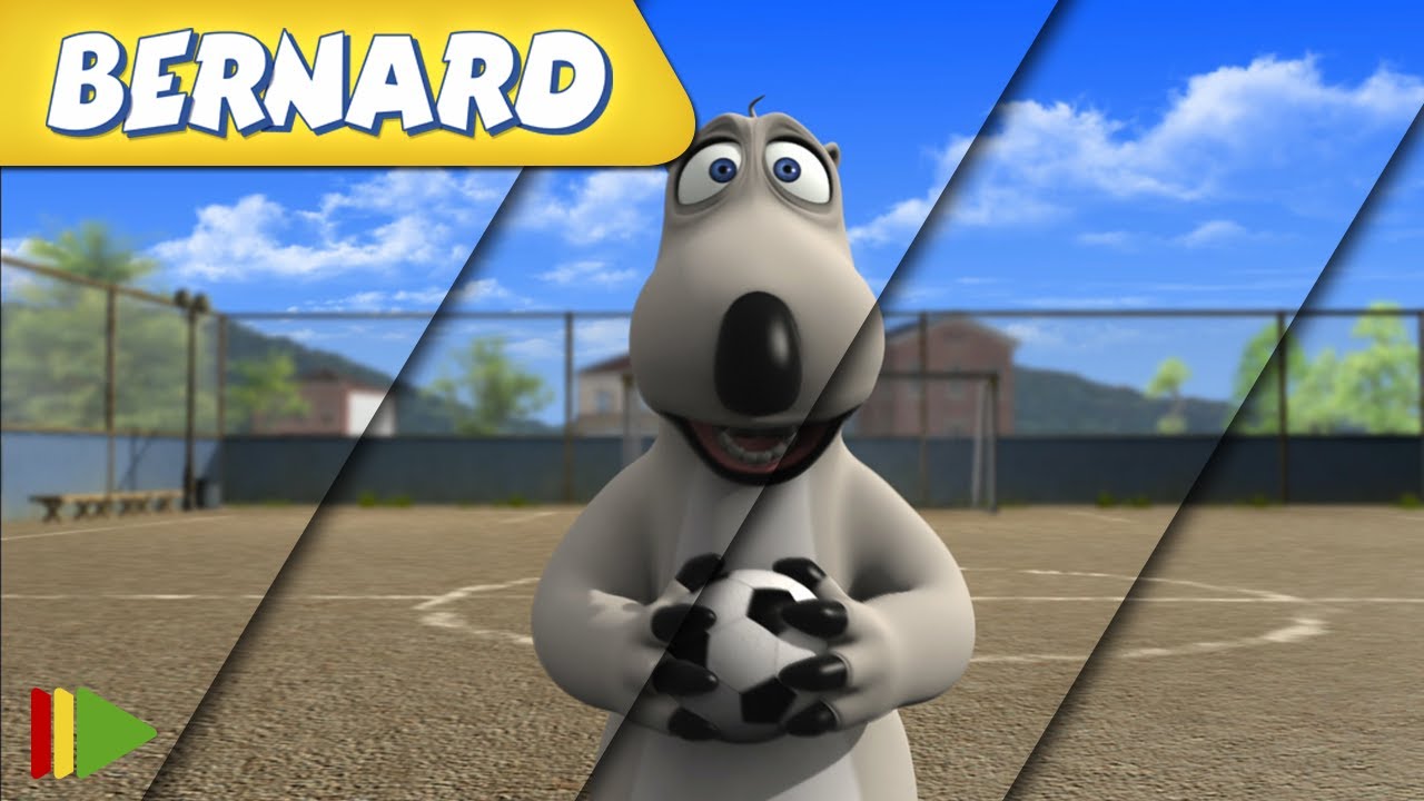 🐻&zwj;❄️ BERNARD  | Collection 53 | Full Episodes | VIDEOS and CARTOONS FOR KIDS