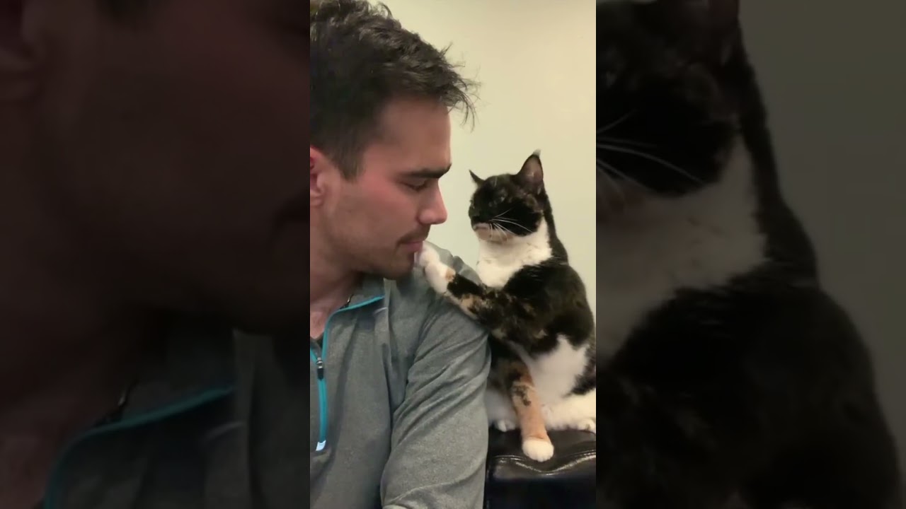 Cat loves its owner. 😻🥰