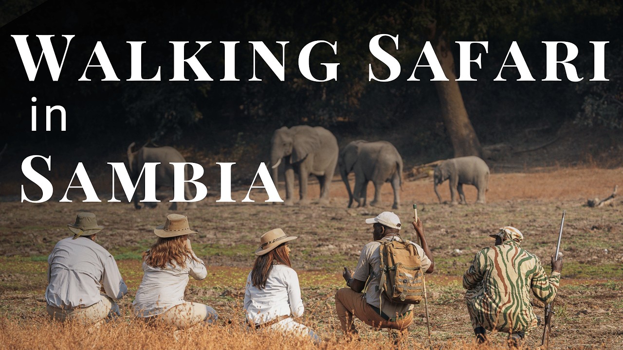 Walking Safari in Sambia: Was Sie erwartet und worauf Sie achten sollten