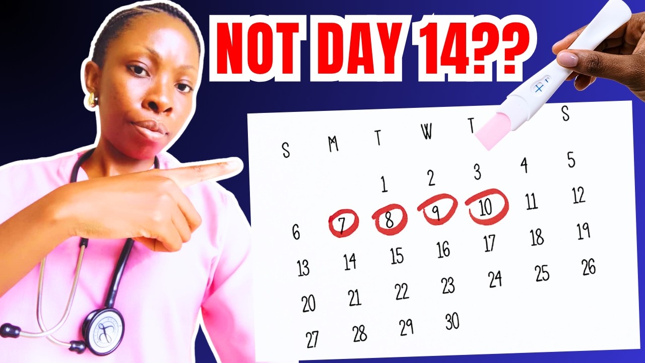 The Best Days to Get Pregnant in Your Menstrual Cycle  — Doctor Explain Fertile Window