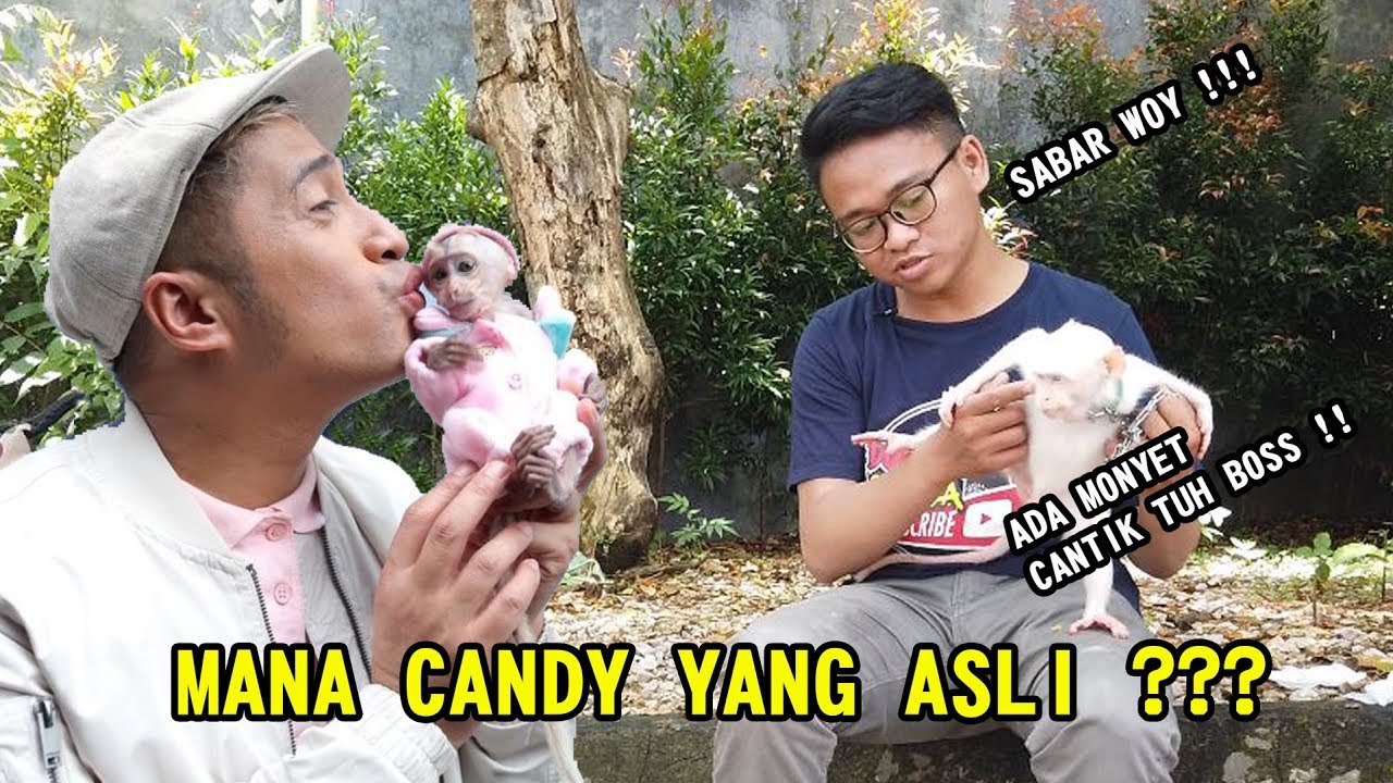 CANDY MILIK OM IRFAN HAKIM TERNYATA PUNYA KEMBARAAN