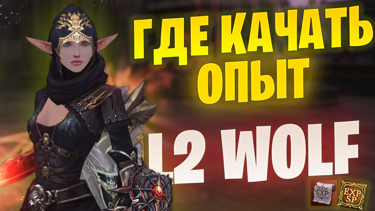 Застрял на уровне? Где качать опыт в Lineage 2 Project WOLF / Essence