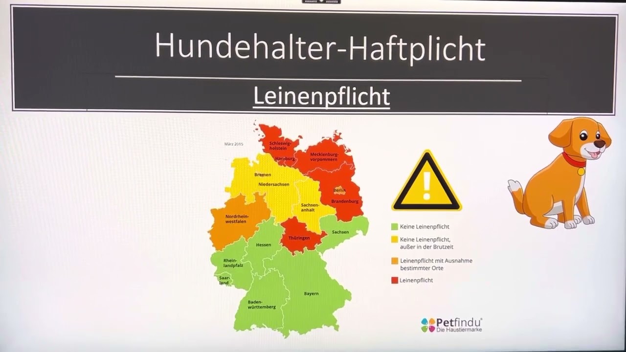 Gesetzliche Lage der Tierhalterhaftpflichtversicherung