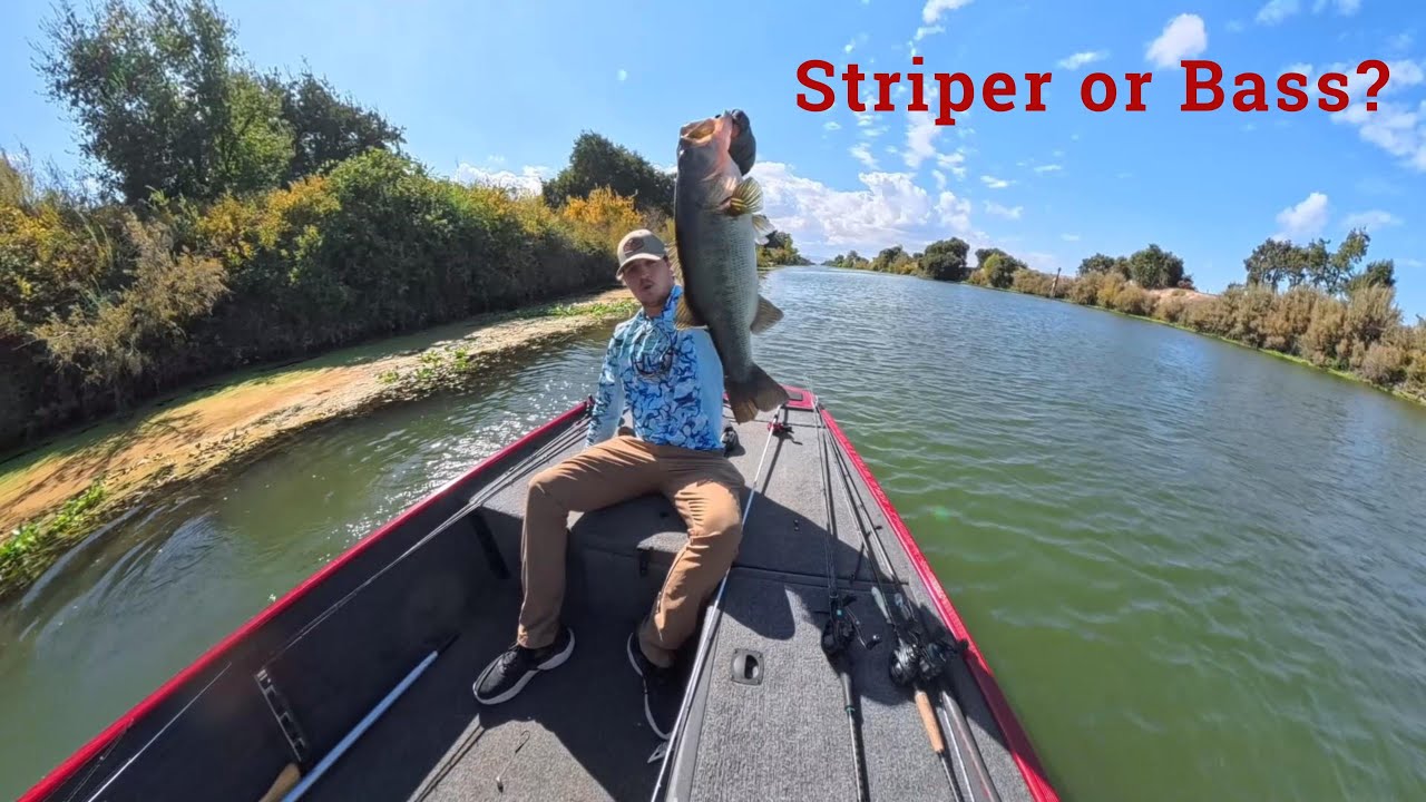 My Most Eventful Trip On The California Delta