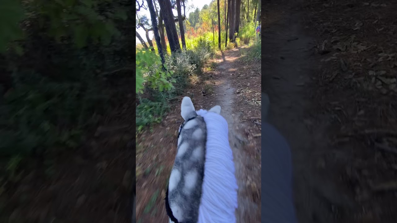 Trail Ride! | Hobby Horse Gals |