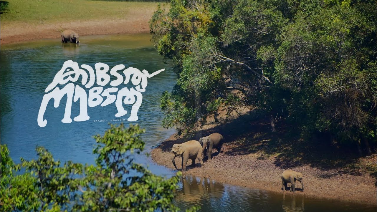 Award winning Wildlife Shortfilm 2022 | Kerala Forest Department | Human - Wildlife Conflict