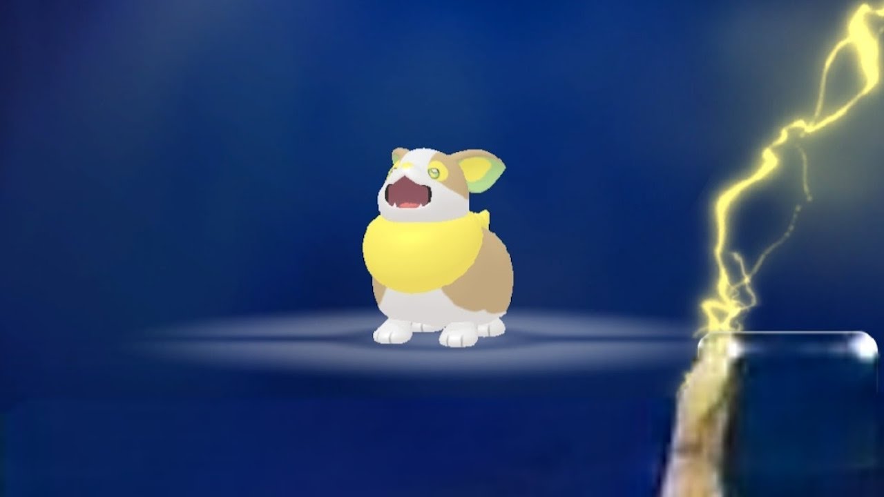 Pokédex #835: Yamper