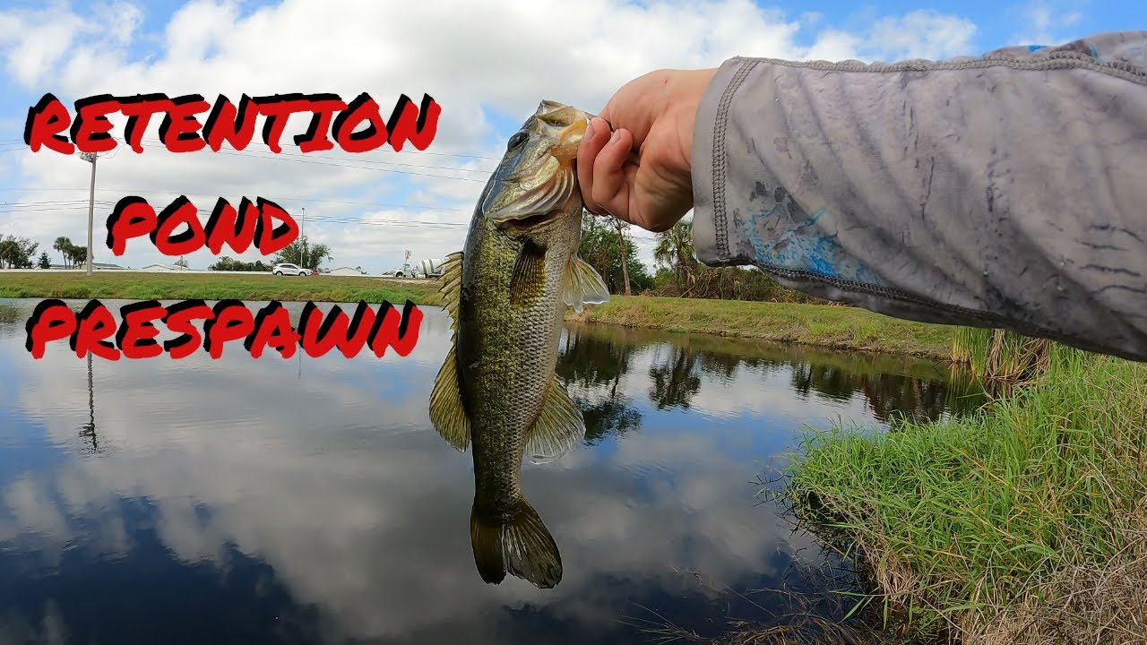 Fishing Roadside Retention Ponds For PRESPAWN Bass!