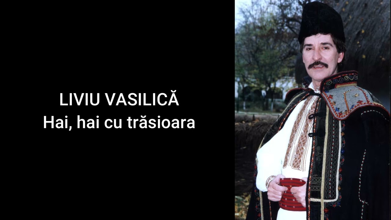 Liviu Vasilica - Hai, hai cu trasioara