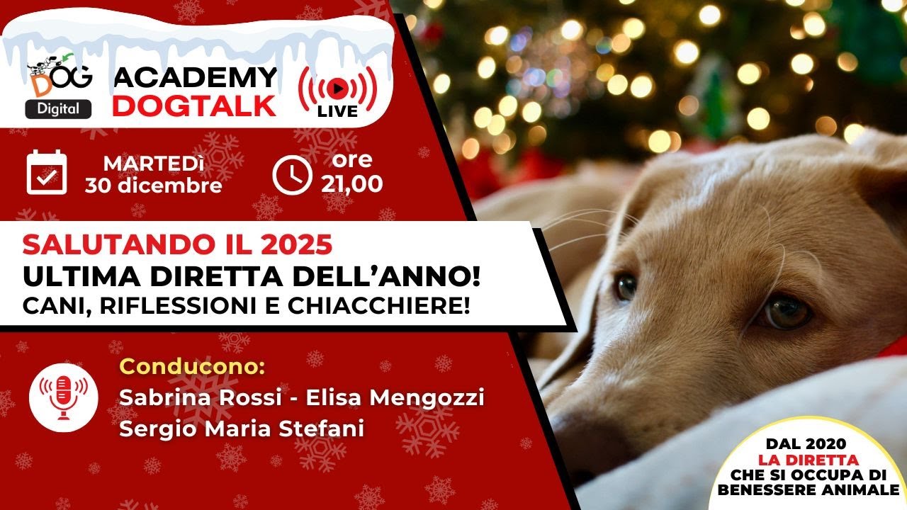🎙 DOGTALK LIVE – ULTIMA DIRETTA DELL’ANNO