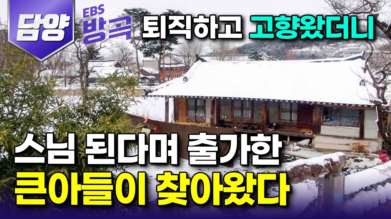 [전남 담양] 