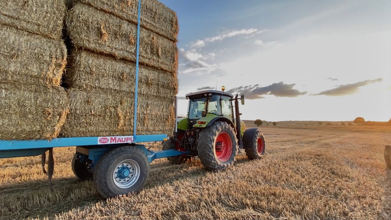 Saison de paille - 2021