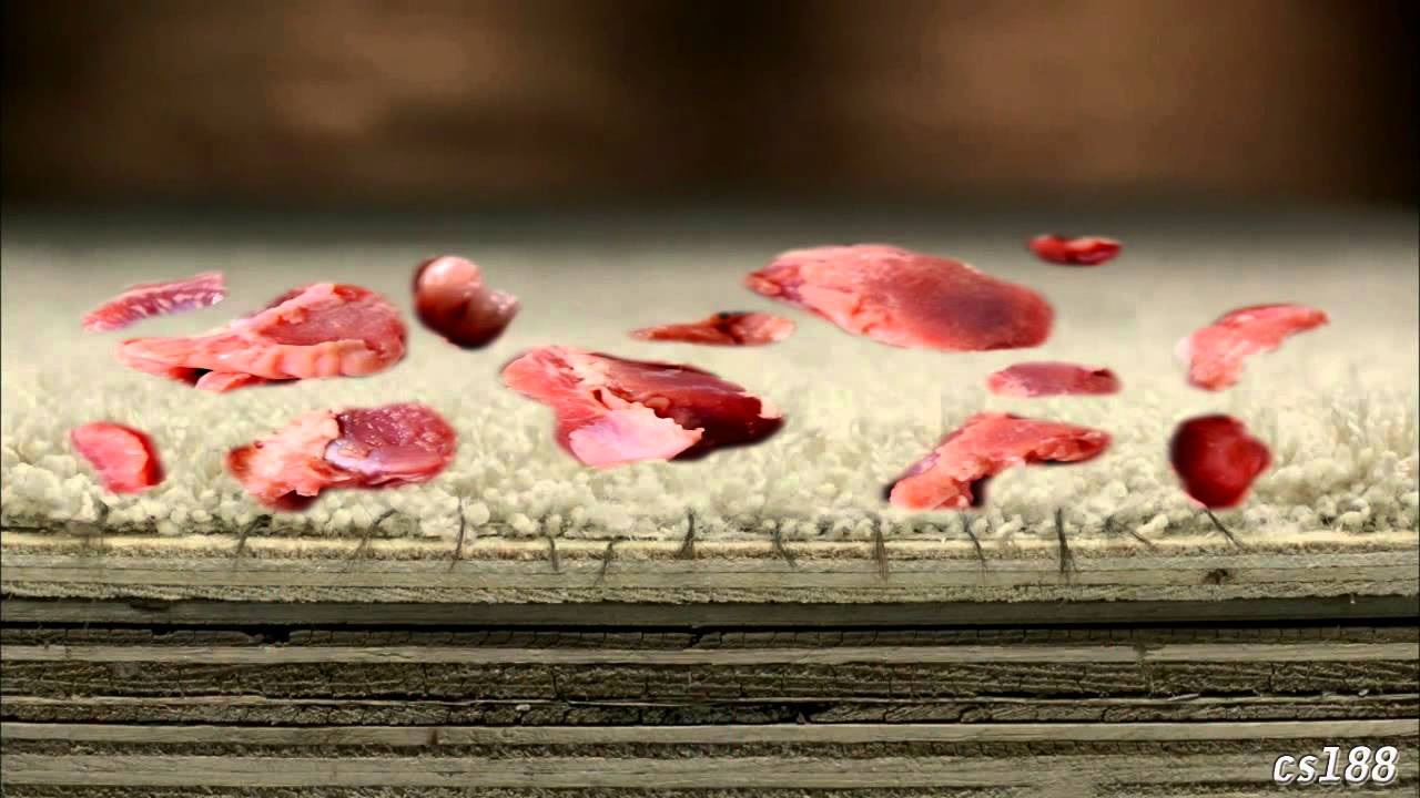 [YTP] Vince Gets a Mess Stuck in Your Carpet
