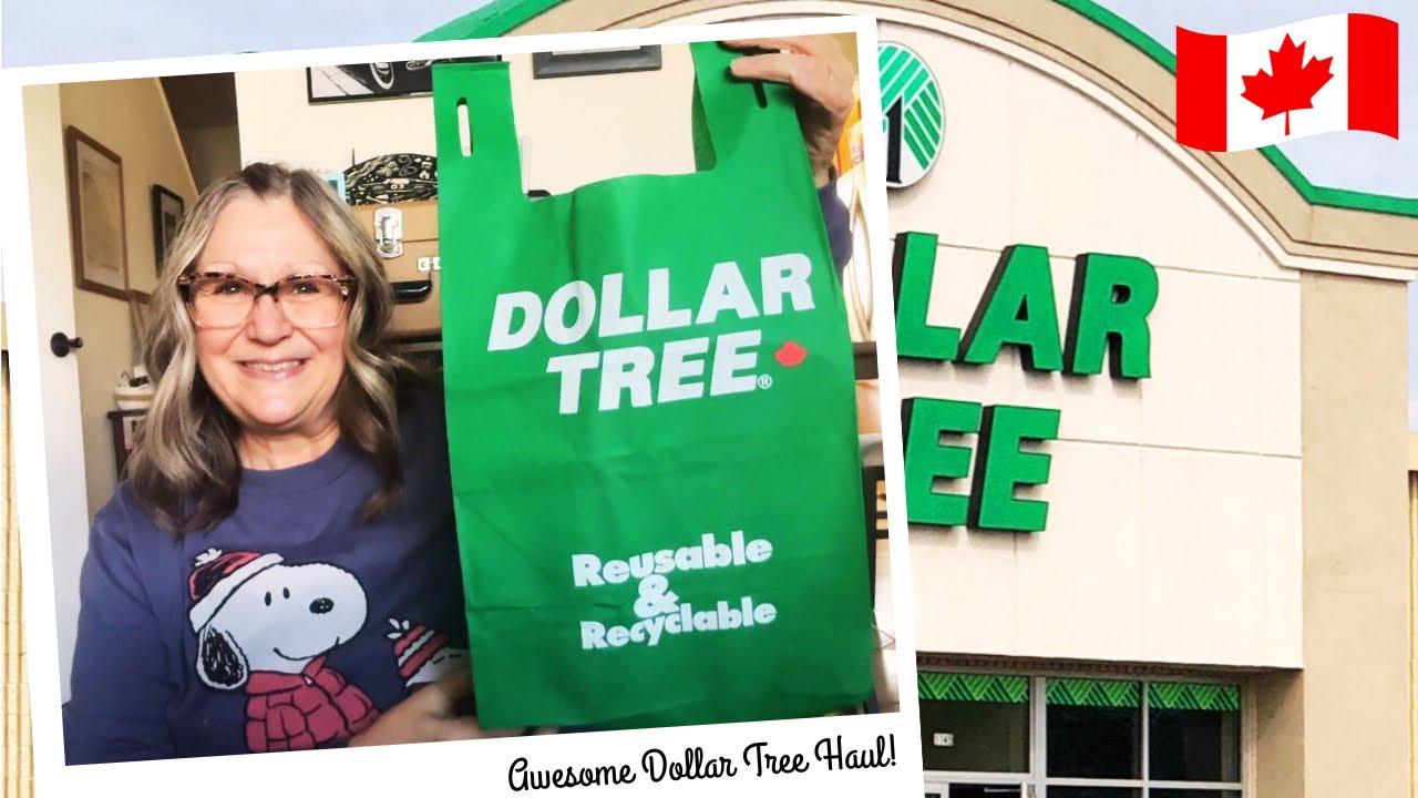 AWESOME DOLLAR TREE HAUL