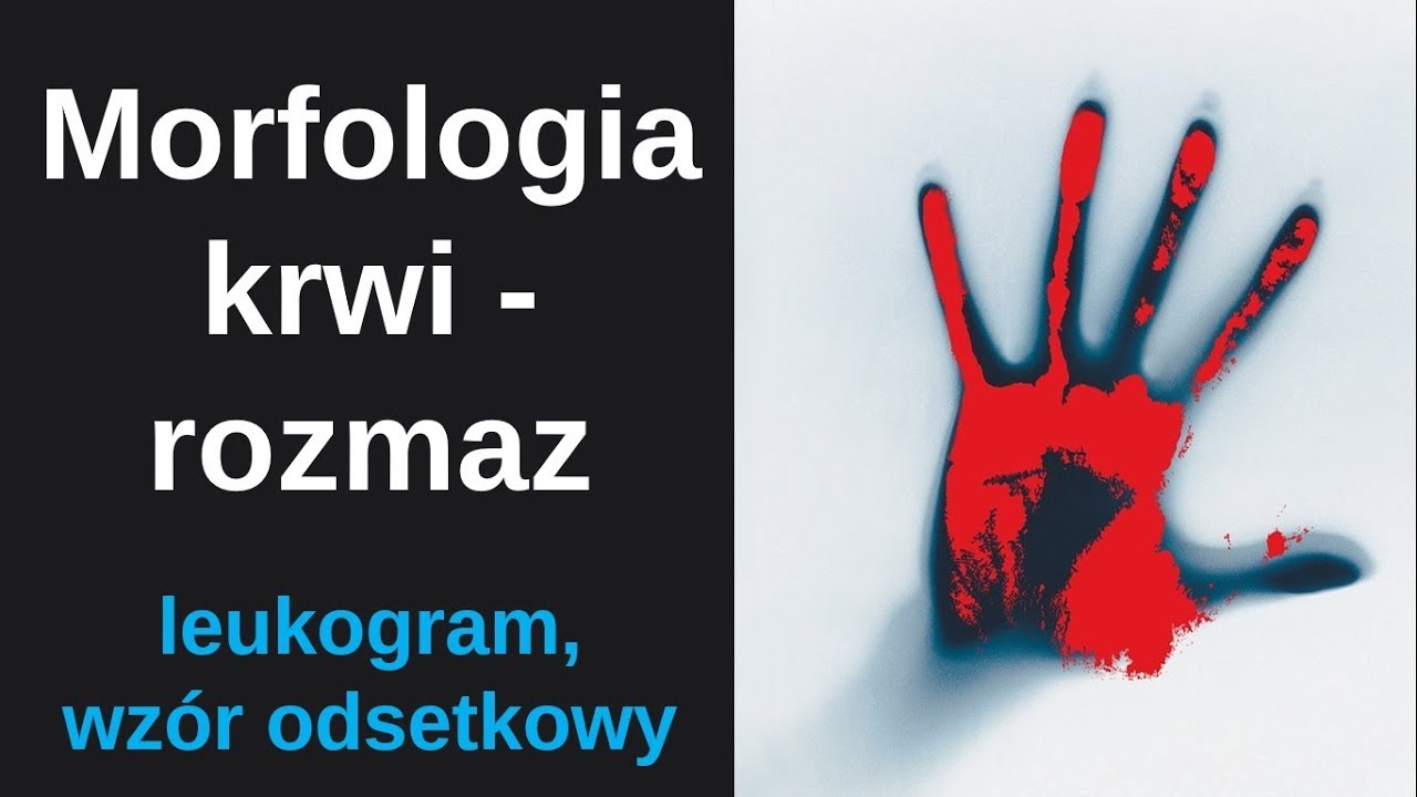Morfologia krwi - rozmaz automatyczny lub ręczny - leukogram