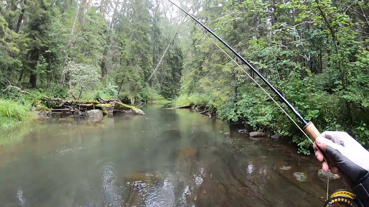 Flyfishing Нахлыст, рыбалка на маленьких реках.