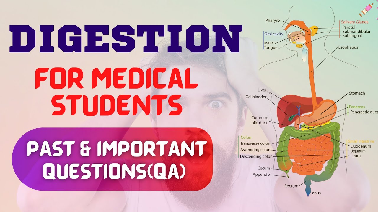Digestion MCQs || Important & Past MCQ 😱😱 || Common Entrance Examination CEE IOM KU BPKIHS MOE 🔥🔥