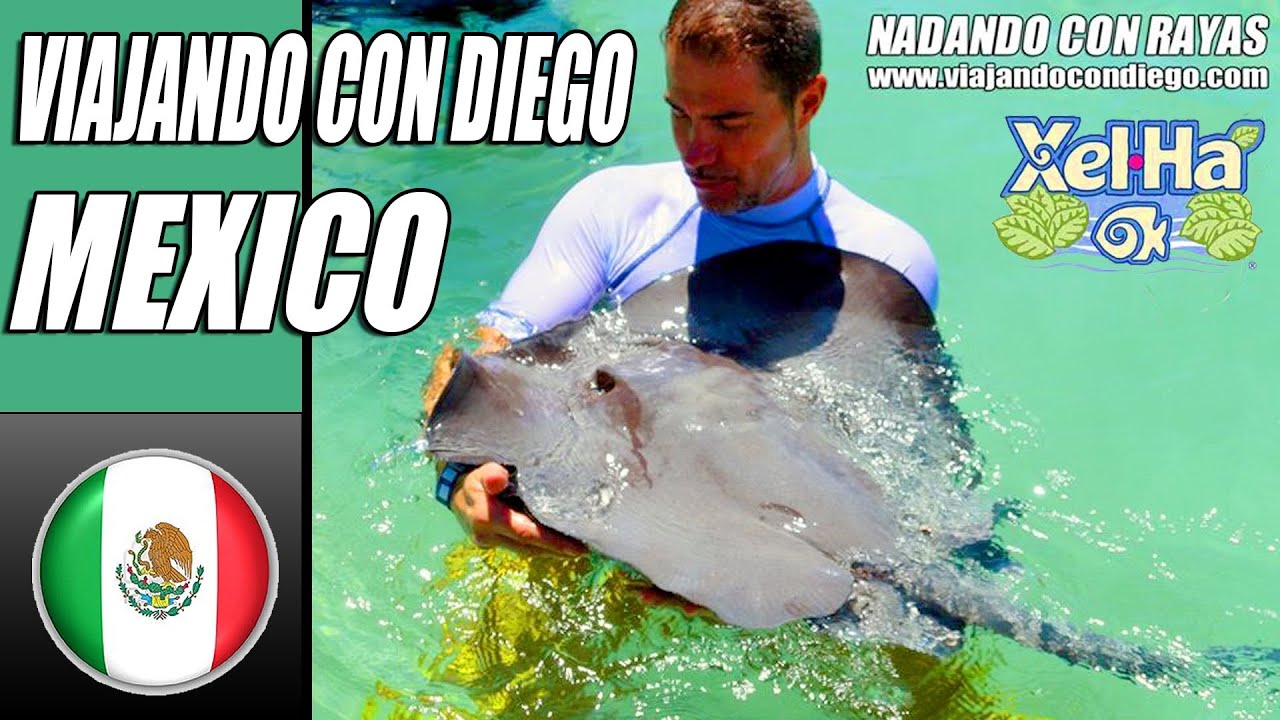 XEL HA - VIAJANDO CON DIEGO 🇲🇽 - Nadando Rayas y Manatíes - Swimming with Stingrays and Manatees