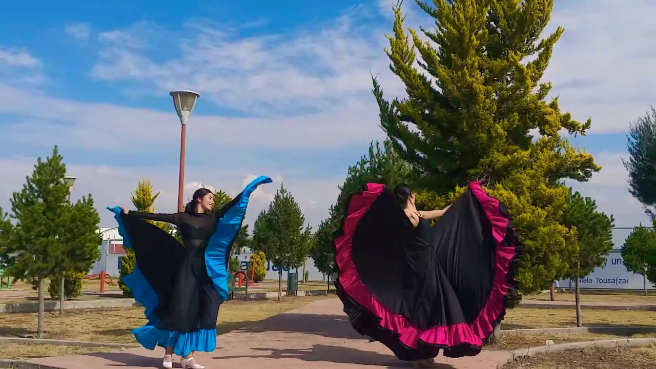 El Son de la Negra - Jalisco | Hidalgo Folklórico Danza 🇲🇽