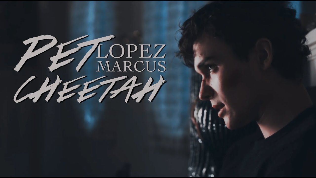 Pet Cheetah | Marcus Lopez